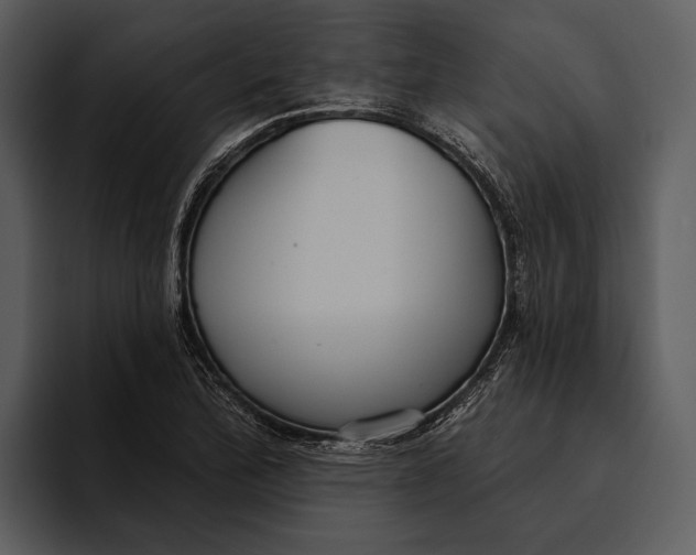 X0000095681172200801291151