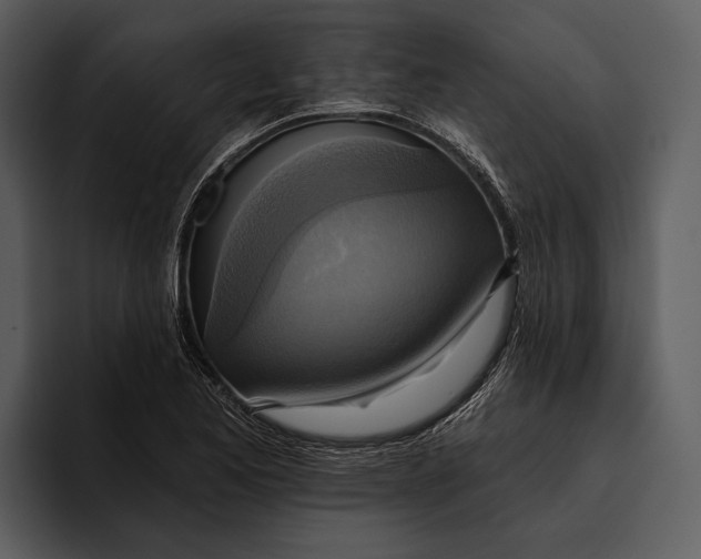 X0000095681173200801291151