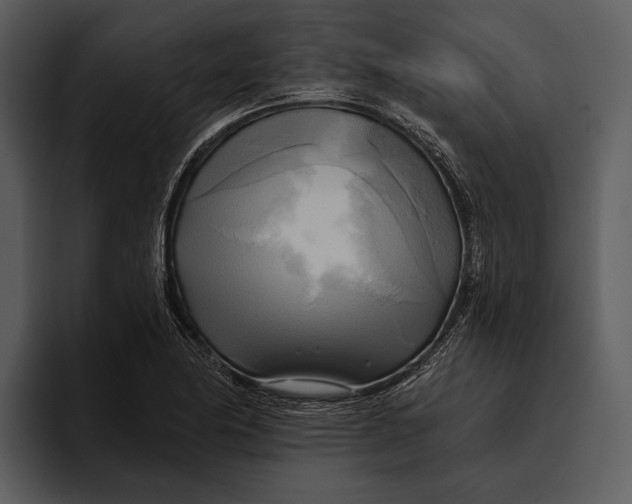 X0000095681174200801291151