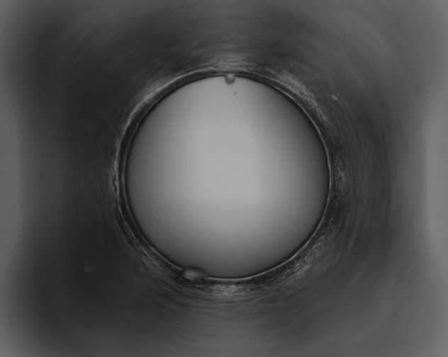 X0000095681176200801291151