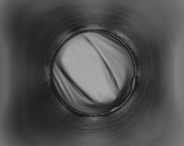 X0000095681177200801291151