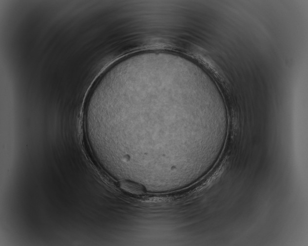 X0000095681178200801291151