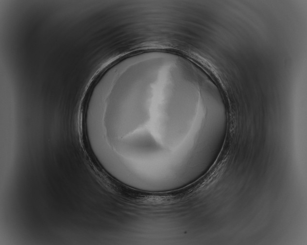 X0000095681179200801291151