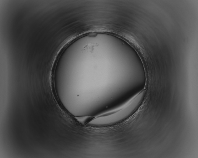 X0000095681181200801291151