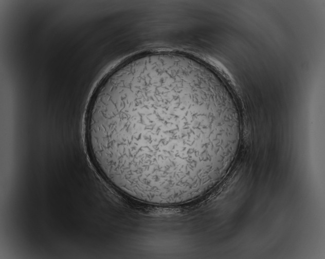 X0000095681183200801291151