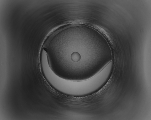 X0000095681184200801291151