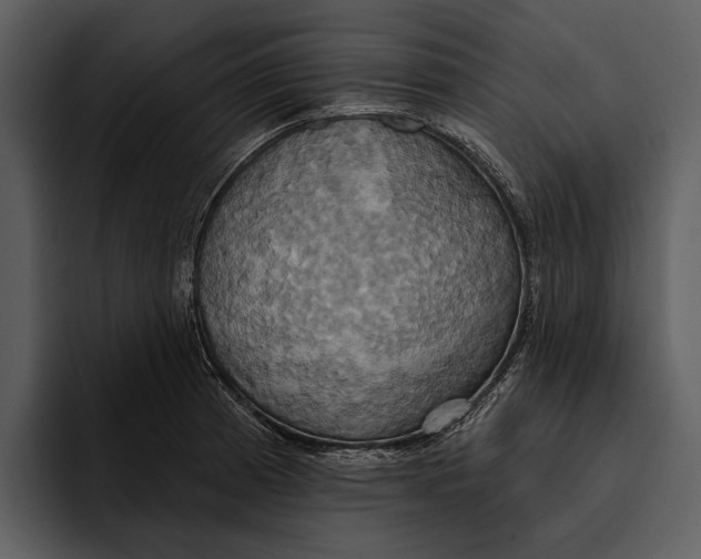 X0000095681185200801291151