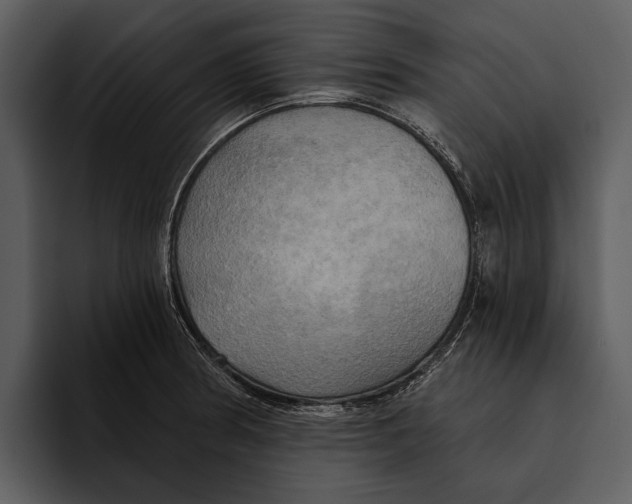 X0000095681186200801291151