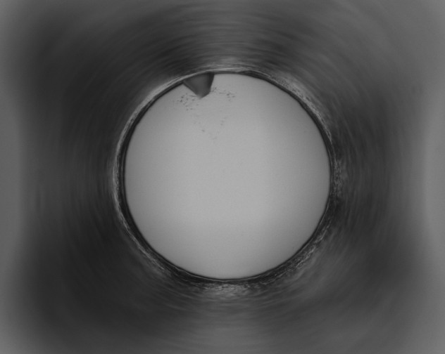 X0000095681187200801291151