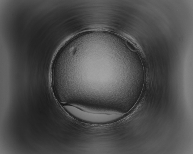 X0000095681188200801291151