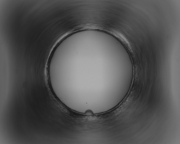 X0000095681190200801291151