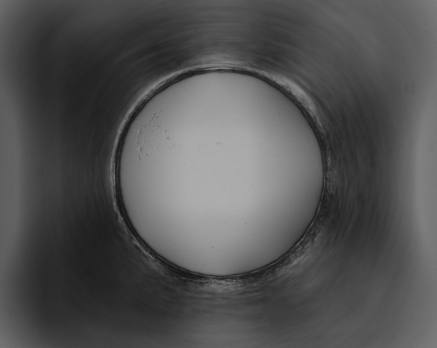 X0000095681191200801291151