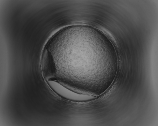 X0000095681192200801291151