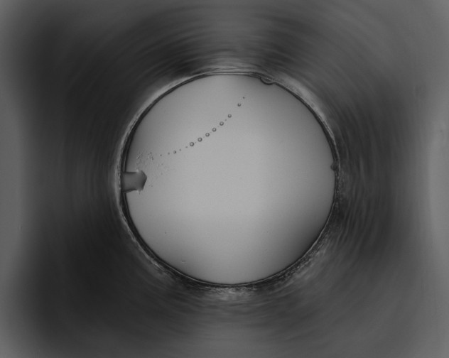 X0000095681195200801291150