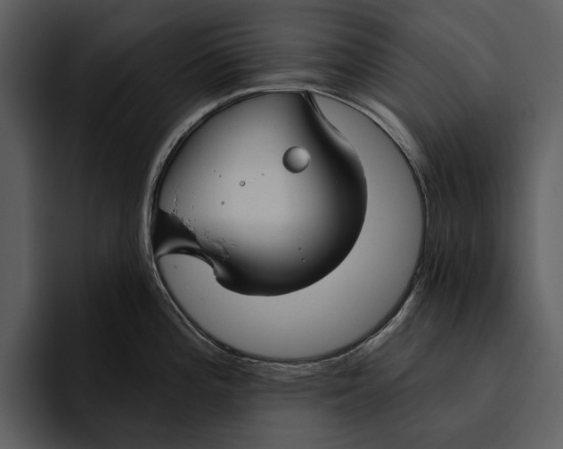 X0000095681196200801291150