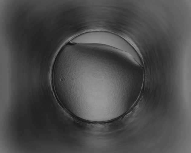 X0000095681197200801291150