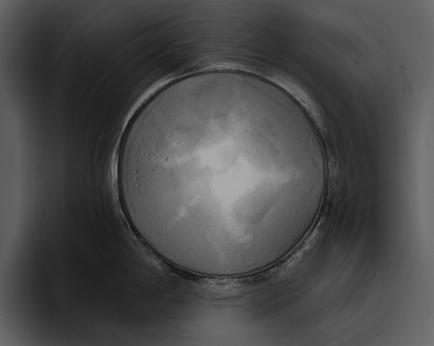 X0000095681198200801291150