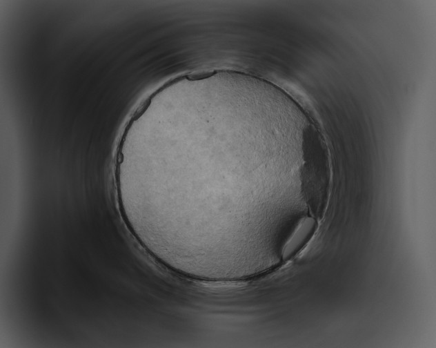 X0000095681200200801291150