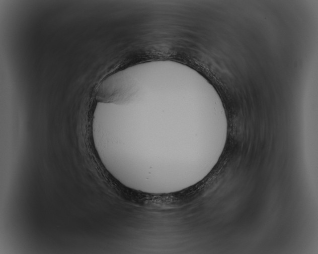 X0000095681201200801291150