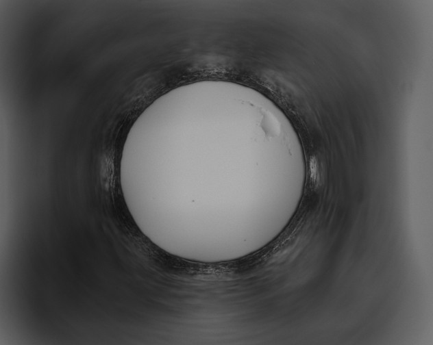 X0000095681203200801291150