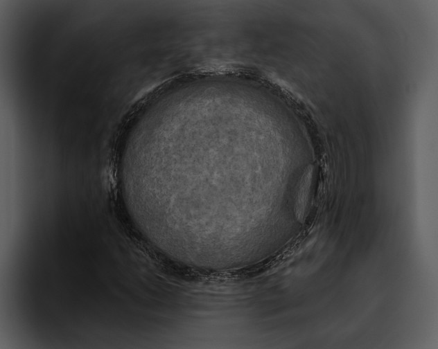 X0000095681206200801291150