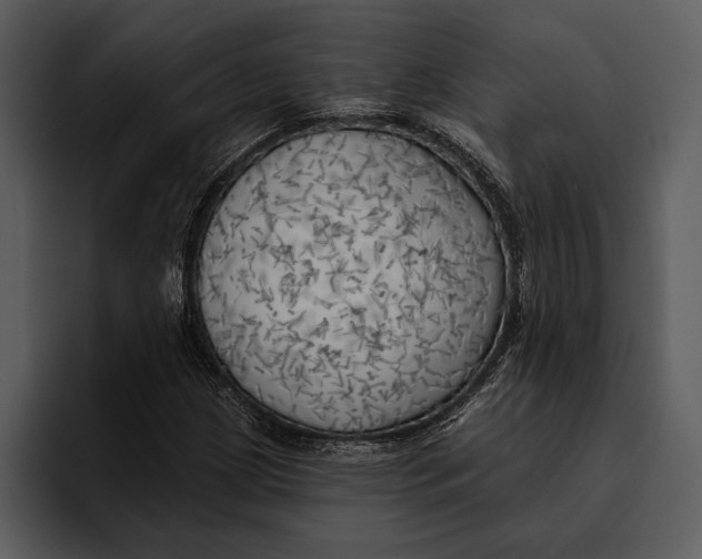 X0000095681209200801291150