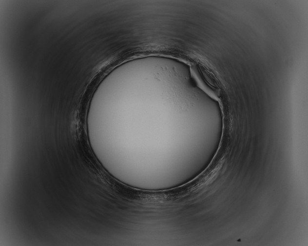 X0000095681210200801291150