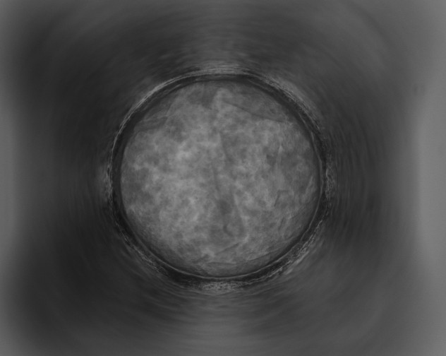 X0000095681212200801291150