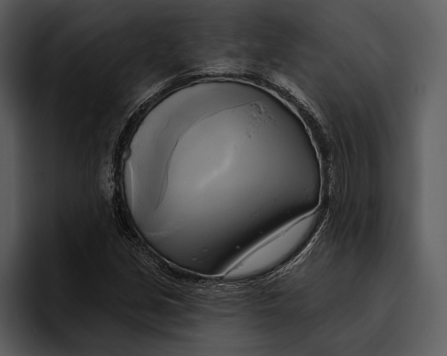 X0000095681213200801291150