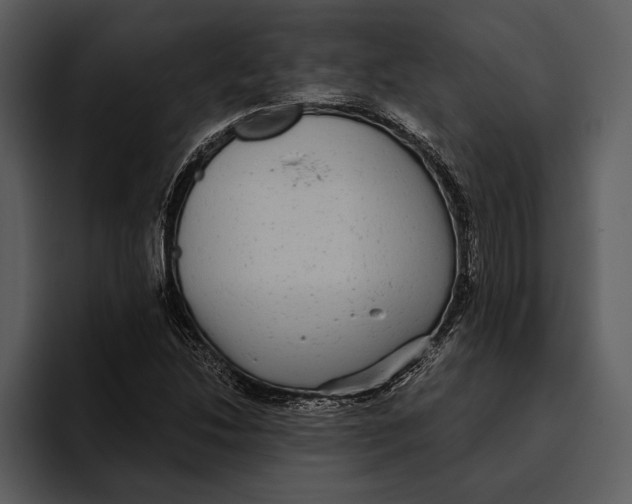 X0000095681214200801291150