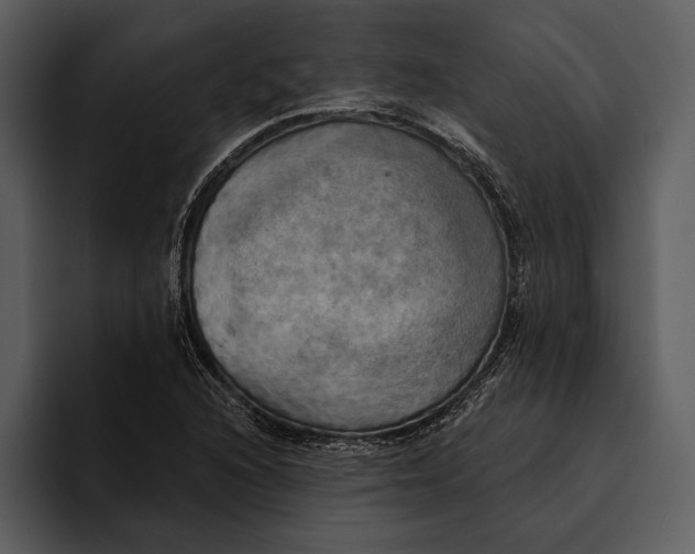 X0000095681216200801291150