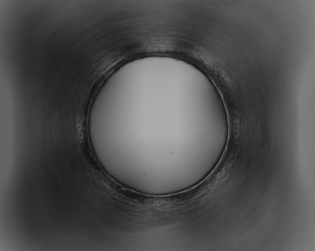 X0000095681217200801291150