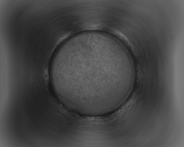 X0000095681218200801291150