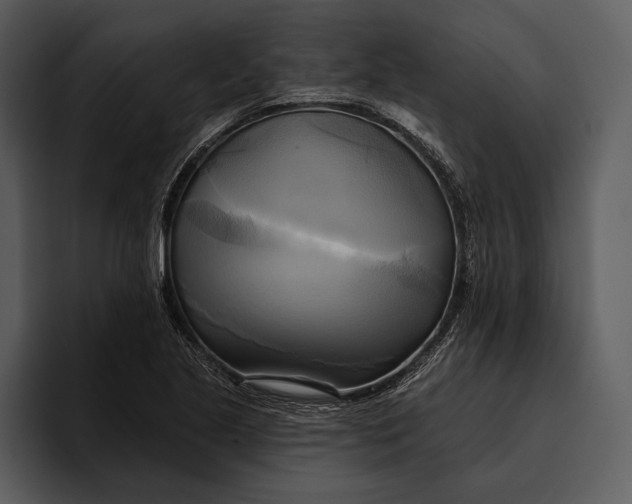 X0000095681221200801291150