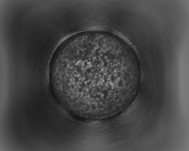 X0000095681222200801291150