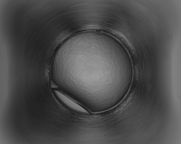 X0000095681225200801291150