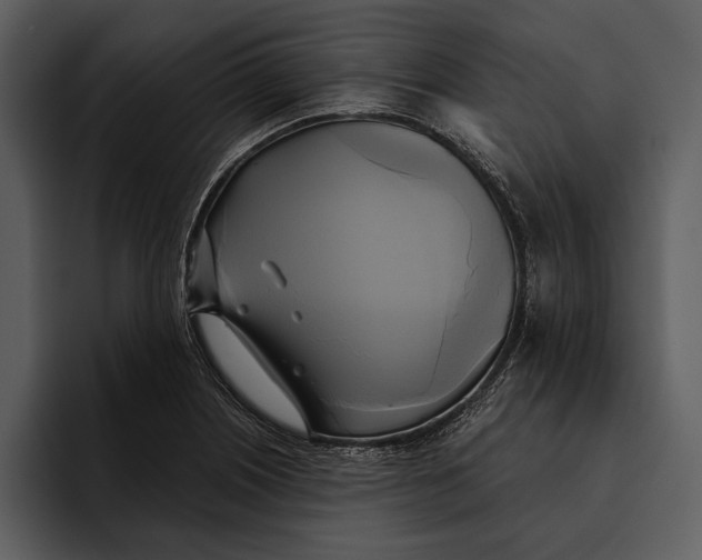 X0000095681226200801291150