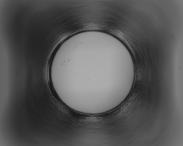 X0000095681227200801291150