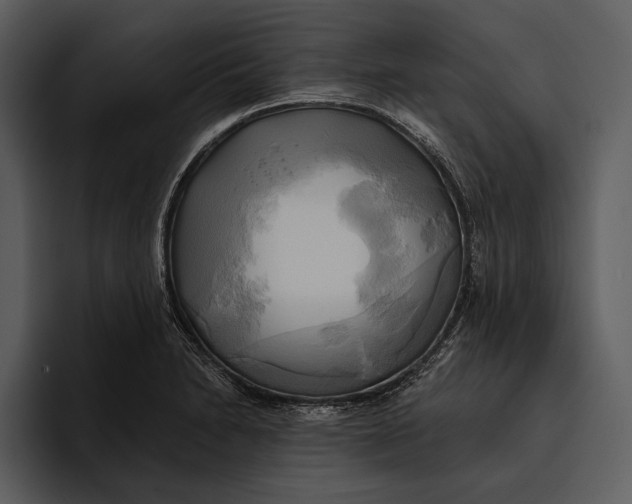 X0000095681230200801291150