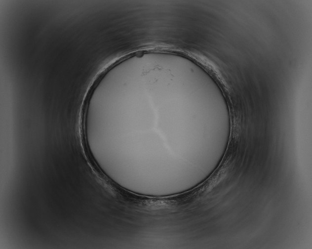 X0000095681231200801291150