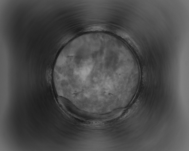 X0000095681233200801291150