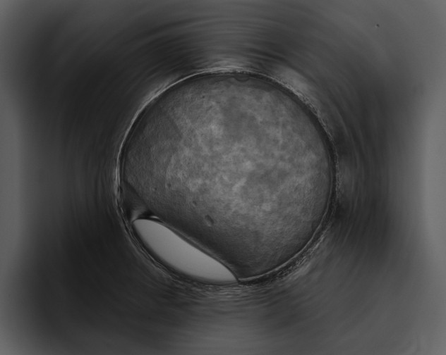 X0000095681234200801291150