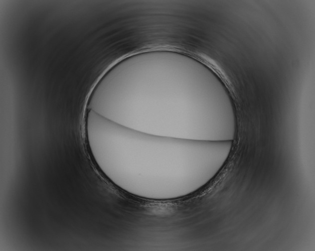 X0000095681236200801291150