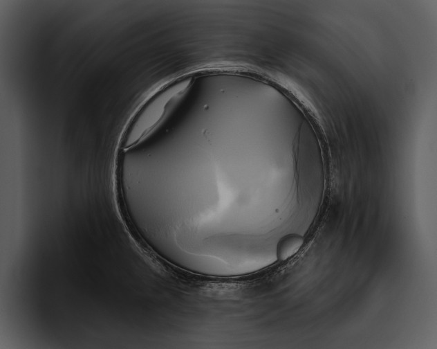 X0000095681237200801291150