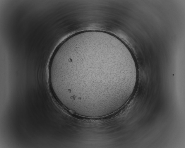 X0000095681238200801291150