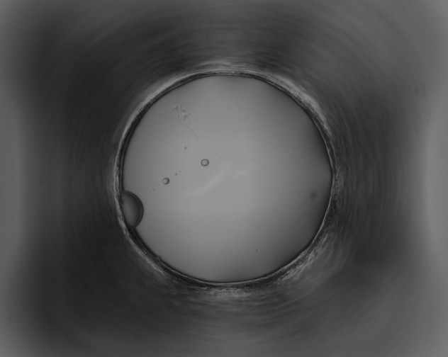 X0000095681239200801291150