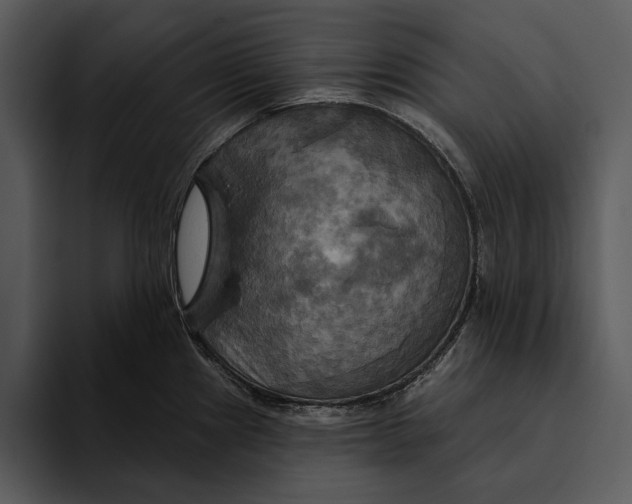 X0000095681241200801291150