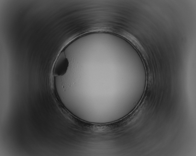 X0000095681242200801291150