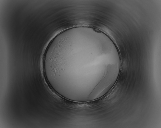 X0000095681243200801291150