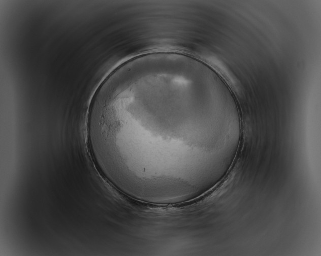 X0000095681244200801291150